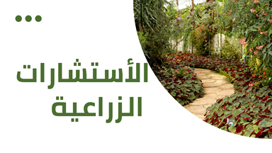 الاستشارات الزراعية